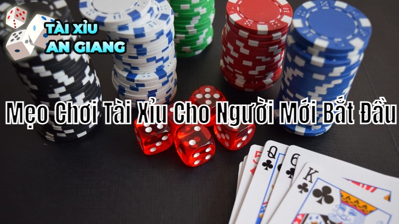 Mẹo Chơi Tài Xỉu Cho Người Mới Bắt Đầu